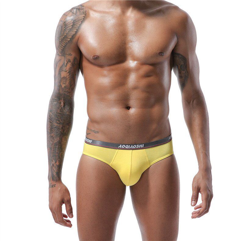 6Pcs  Modal Sexy Man's Briefs Underpants Breathable Men's Briefs  Gay Mens Panties Gift