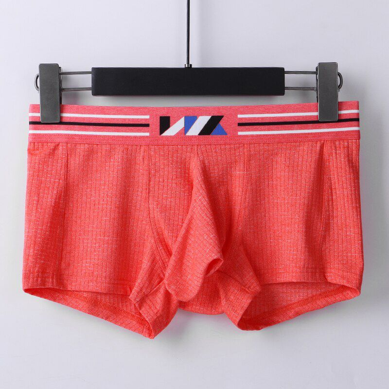 Elephant Nose Briefs Ice Silk Men's Bulge U Pouch Male Breathable  Trunks Cueca Underpants