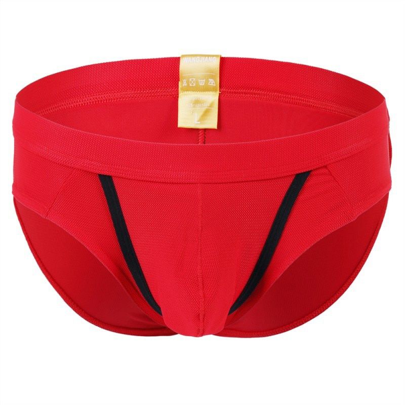 Men Briefs Breathable Mesh Underpants Hole Pouch Briefs Sexy Lingerie Hombre Male Panties Cuecas
