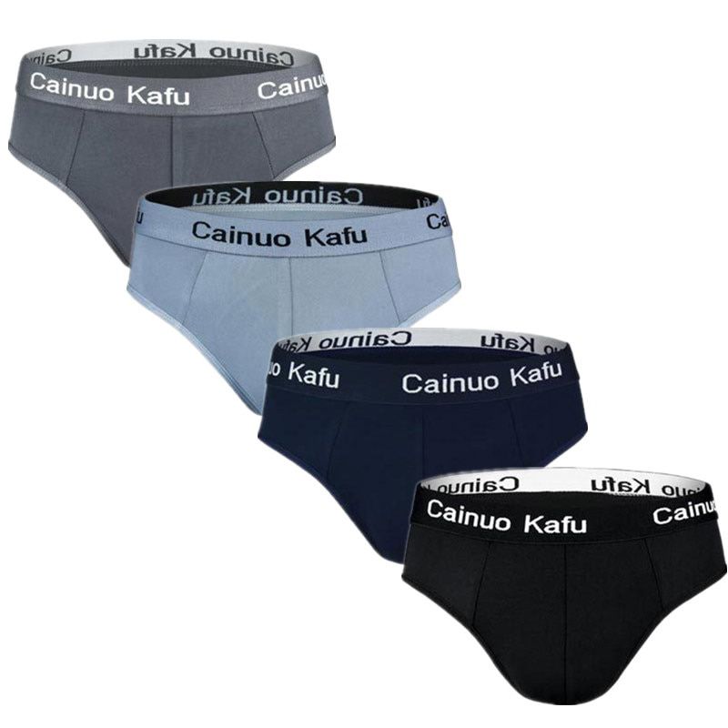 4pcs/Lot Men's Panties Briefs Underpants for Man Male Underpanties Slip Sexy Thin  Fiber  Hombre Brand