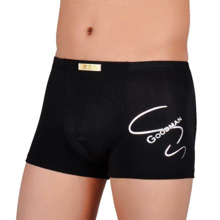 Panda Online Men Man Breathable Modal Underwear Boxer Brief L-3XL Plus Size