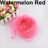 Women Girl Candy Color Soft Light Weight Chiffon Neck Scarf Fashion Wrap Shawl