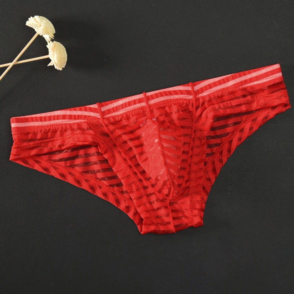 Sissy Panties Striped Mens Convex Pouch Briefs Low-Waisted Underpants Fashionable Replace Soft Thin Transparent Appeal