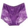y Women Solid Color High Waist Le See Through Underpants Elastic Briefs