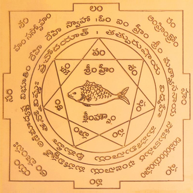 Matsya Yantra(Vastu Matsya Yantra) | Matsya Yantram Telugu 6x6 Inches Copper Yantra  (Height15.24)
