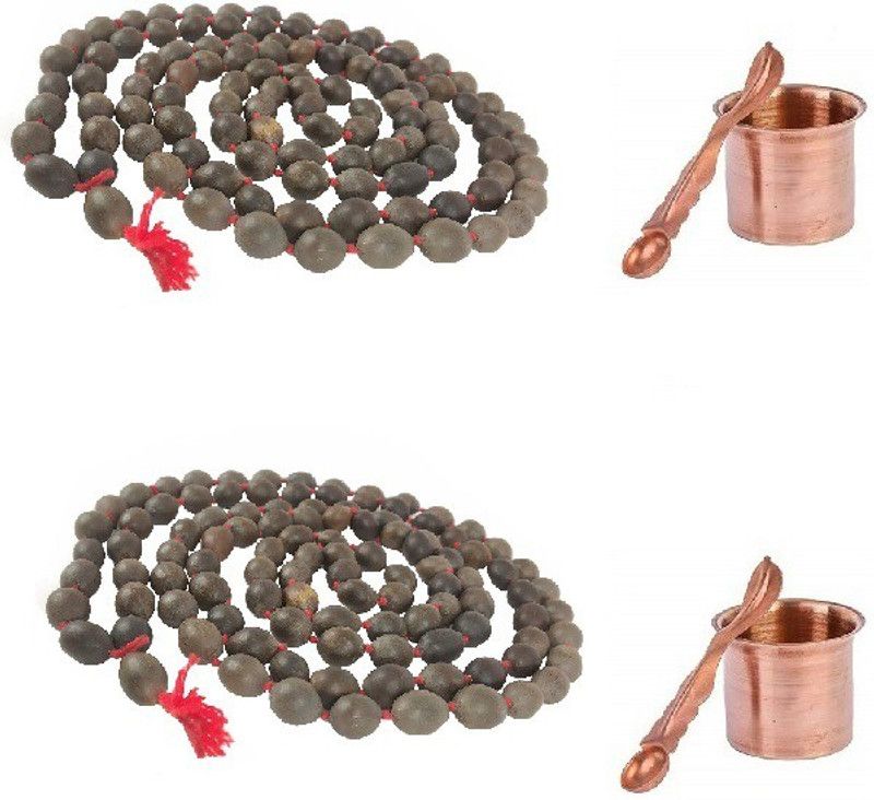 Adhvik Combo Of 2 pcs Punch Patra Glass With Spoon with 2 pcs Natural Lifestyle 86 Cm Long 10mm Lotus Seeds Mala Brass  (Multicolor)