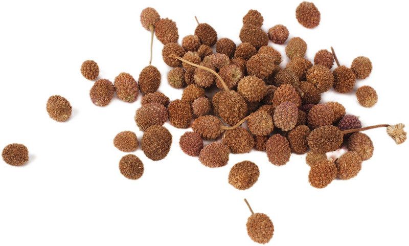 Rudra Centre Gorakh Mundi - 50 gms