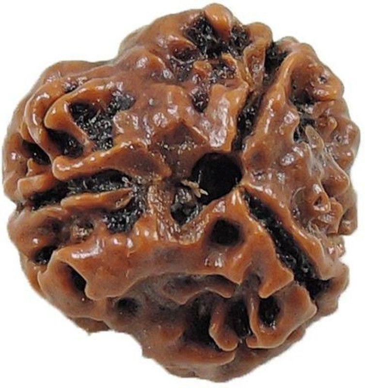 numeroastro 3 Mukhi Natural & Genuine Certified Rudraksha Beads Wooden Yantra  (Pack of 1)