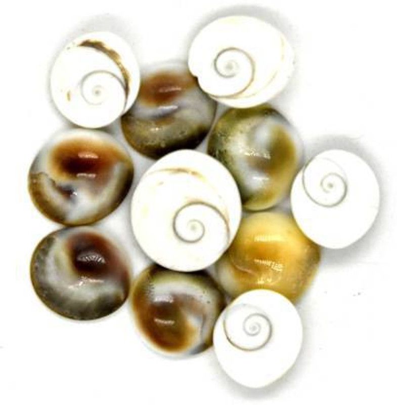 ASHA Gomati Chakra for Lakshmi Pooja Set of 11 Stoneware Yantra  (Pack of 1) Stoneware Yantra  (Pack of 11)