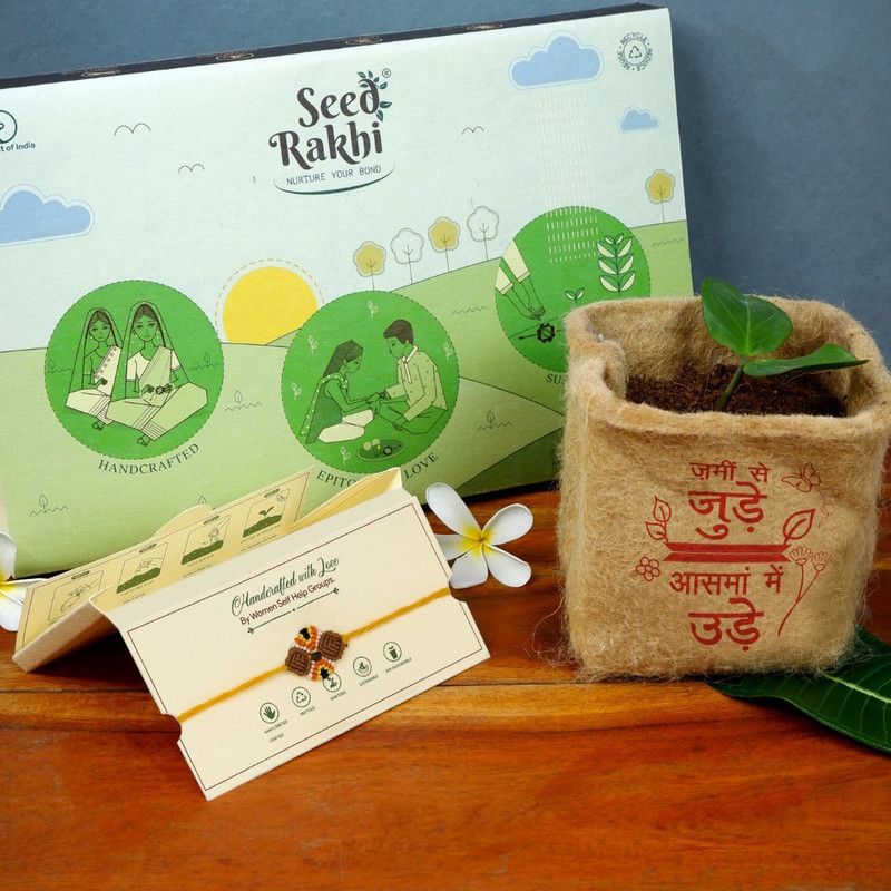 Chawal Roli Pack, Rakhi, Vase Set  (Roli Pack, Instruction Manual, Coir Planter, 1 Seed Rakhi)