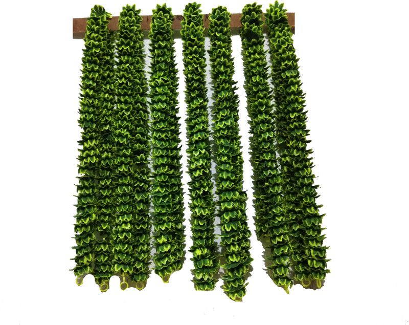 Afarza Artificial flower garland toran door hanging 5ft 2ps pack good quality of plastic n cloth Garland  (Green)