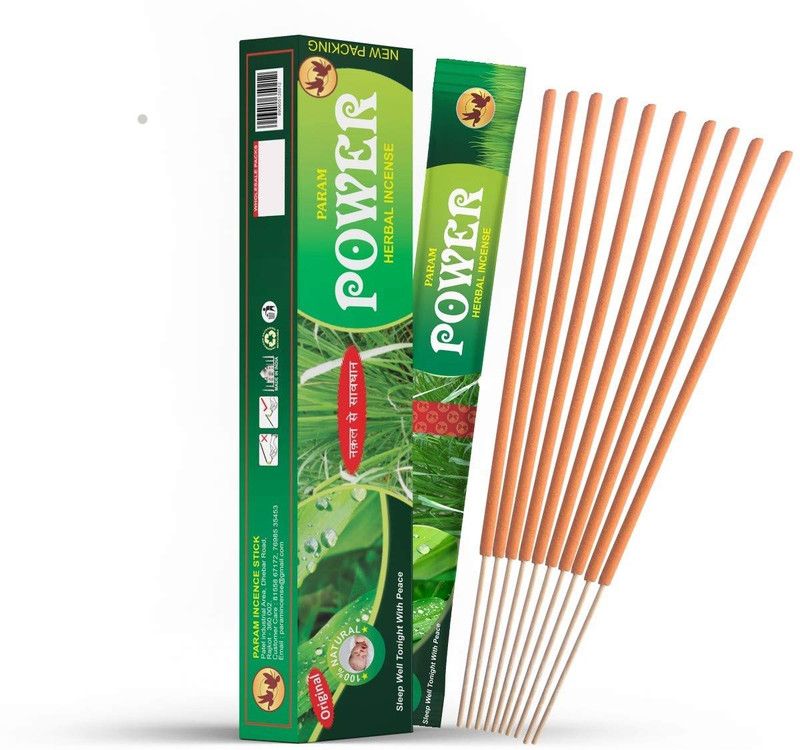 PARAM Power 120 Citronella Incense Sticks Mosquito Repellent Agarbatti - Herbal and Natural (Pack of 1 Boxes x 12 Pouches x 10 Sticks per Pouch= 120 Sticks) Natural  (120, Set of 1)