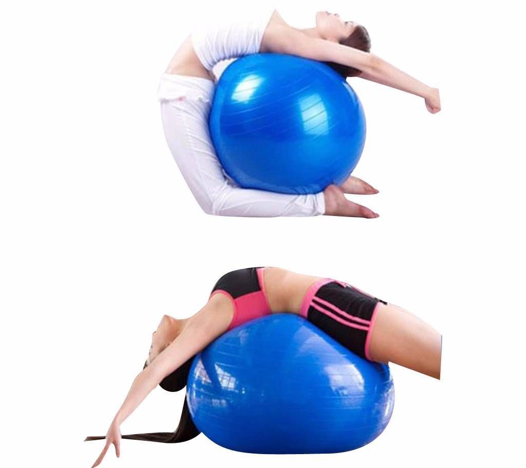 Fitness gym ball 