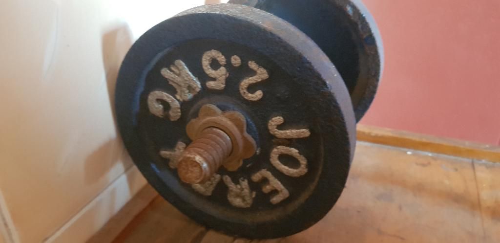 dumbell 5kg gym workout