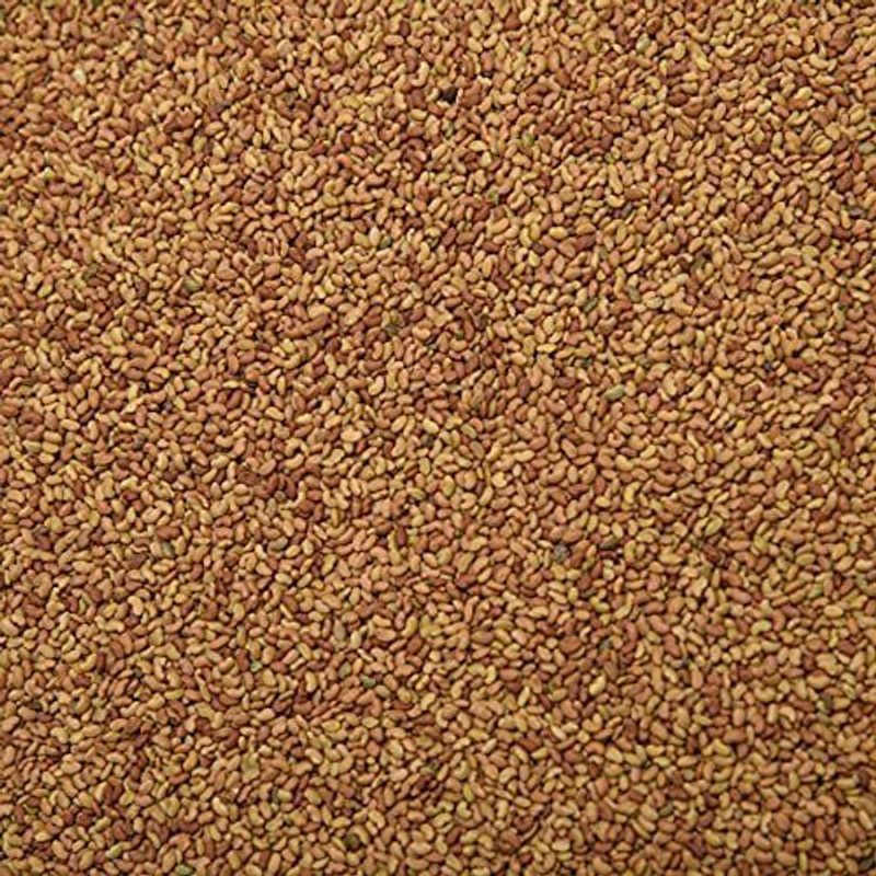 Nature Vit Alfalfa Seeds for Sprouting, 400g [Alfa Alfa Seeds] Alphalpha Seeds  (400 g)