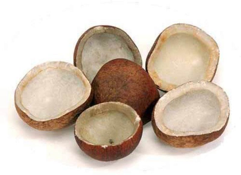 Nature's Bridge Dry Coconut Halves (400 Gm) / Nariyal / Narel / Copra / Kopra / Dry Nariyal Coconut  (400 g)