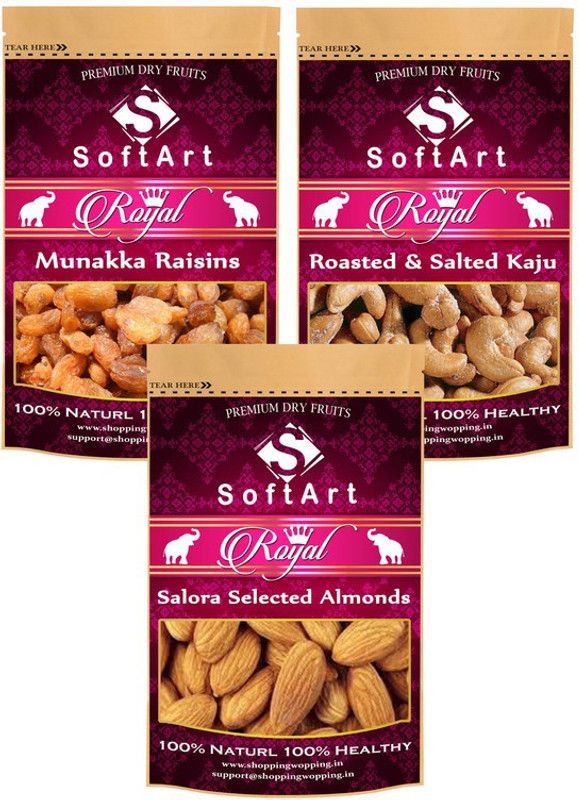 Soft Art Dry fruits combo of Munakka,Salted Kaju,Salora Selected (100g Each) Raisins, Cashews, Almonds  (3 x 100 g)