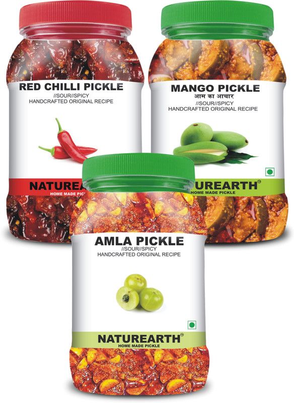 NaturEarth 100% Natural Amla , Red Chilli & Mango Pickle(600 g) Primium Quality Achar Mixed Pickle  (3 x 200 g)