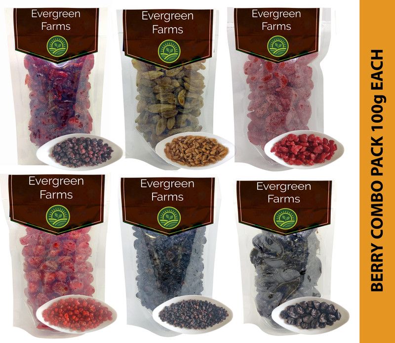 Evergreen Farms International Berries Value Combo Pack of 6 Cranberry,Cherry,Black Currant,Strawberry,Pitted Prunes and Raisins (100 Grams Each) Assorted Fruit Assorted Fruit  (6 x 100 g)