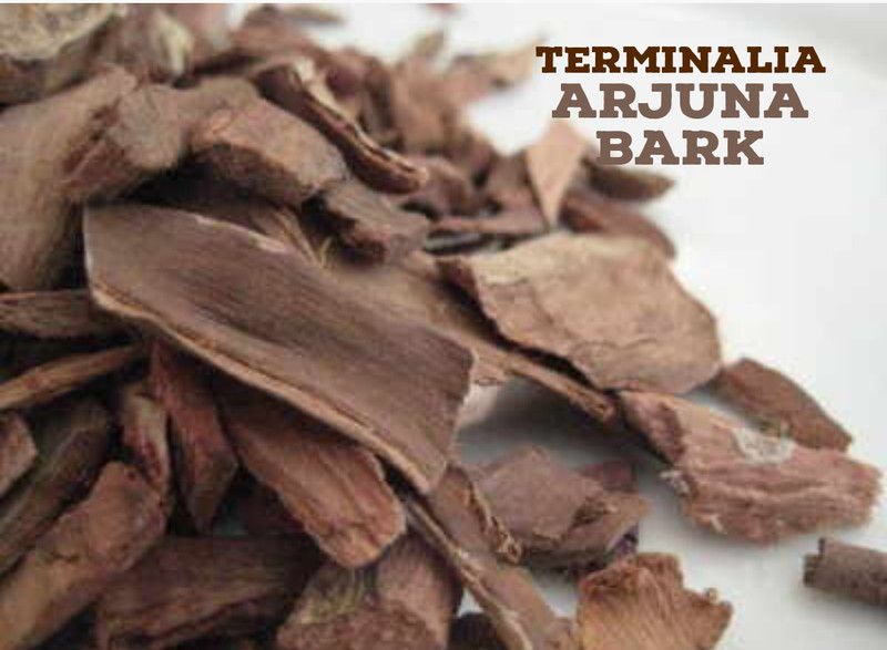 SS520 Arjun chal, Arjun bark  (100 g)