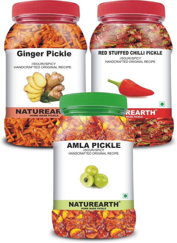NaturEarth 100% Natural Amla , Ginger & Red Stuffed Chilli Pickle(600 g) Primium Quality Mixed Pickle  (3 x 200 g)