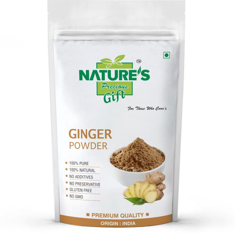 Nature's Precious Gift Ginger Powder - 500 GM  (500 g)