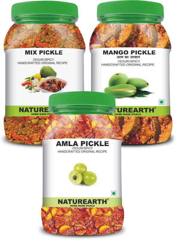 NaturEarth 100% Natural Amla , Mix & Mango Pickle(600 g) Primium Quality Achar Mixed Pickle  (3 x 200 g)