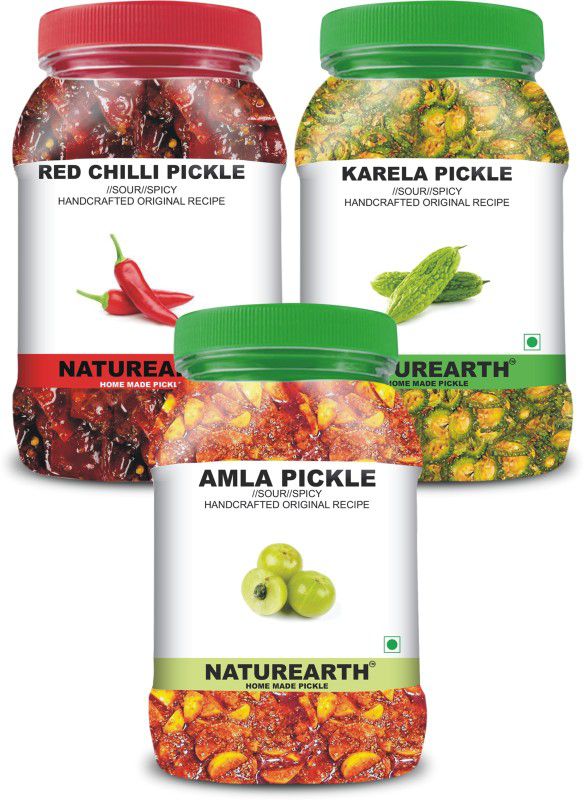 NaturEarth 100% Natural Amla , Red Chilli & Karela Pickle(600 g) Primium Quality Achar Mixed Pickle  (3 x 200 g)