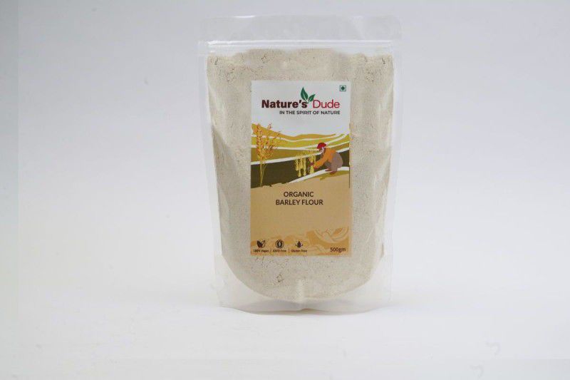 Nature's Dude Pure organic Barley Flour, 500 gm  (500 g)