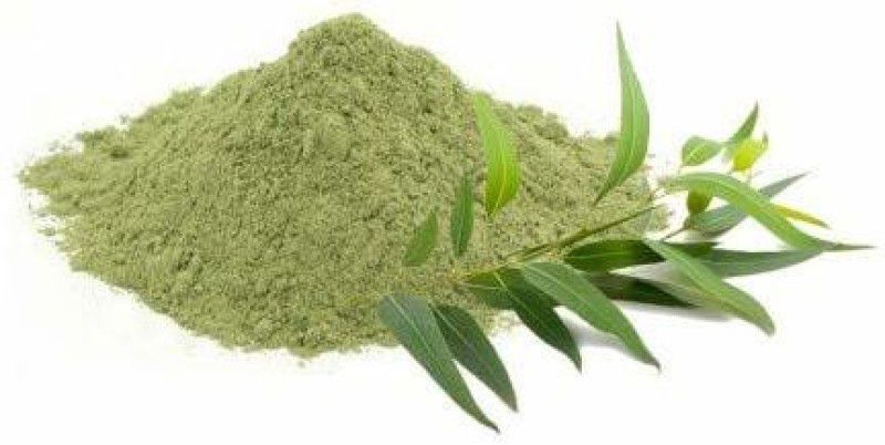 SS520 100% Nuture Eucalyptus Leaves Powder Nilgiri patte ka powder (50g)  (50 g)