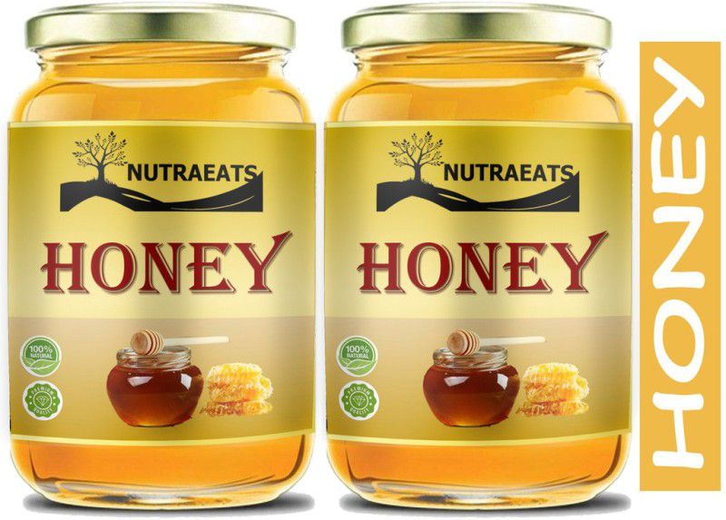 NutraEats Raw Honey Unprocessed Unpasteurized Pure natural organic honey for weight loss (H28) Premium  (2 x 250 g)