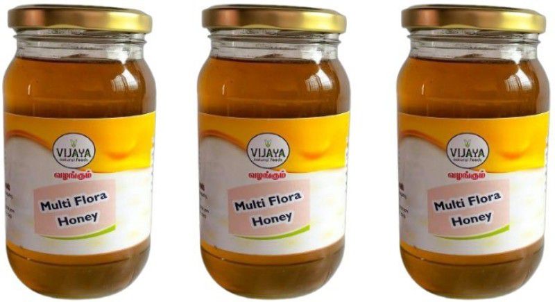 Vijaya Natural Foods - Multi Flora Honey- (Pack of 3 x 250g)  (3 x 250 g)
