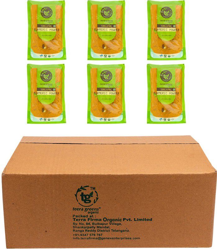Terragreens Organic TURMERIC POWDER 400GMS Pack Of 4 100GMS Each  (4 x 100 g)