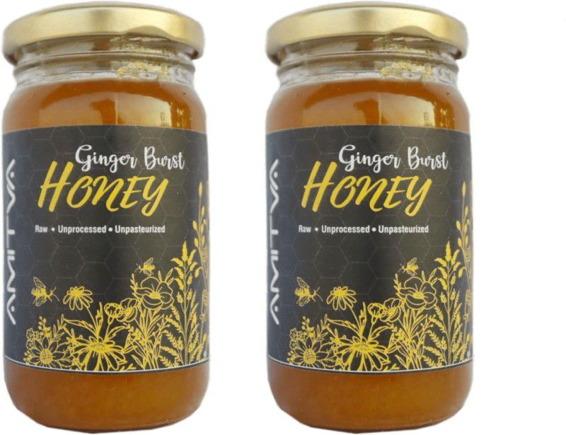 AMITVA Ginger Burst Honey with 100% Natural Ginger - ( Pack of 2 )250gms  (2 x 250 ml)