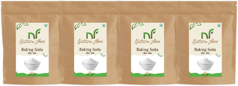 Nature food Best Quality Baking Soda/ Meetha Soda - 4kg (1kgx4) Baking Soda Powder  (4 x 1 kg)