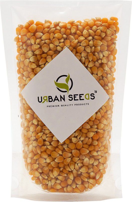 Urban Seeds Popcorn Kernels | Makki | Unpopped Popcorn ( 250 gm ) | Popcorn  (250 g)