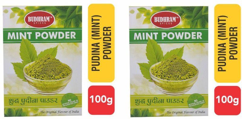 BudhRam Mint powder  (2 x 100 g)