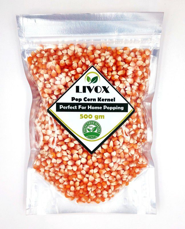 LIVOX POP CORN KERNEL ( Perfect For Home Popping ) 500 gm Popcorn  (500 g)