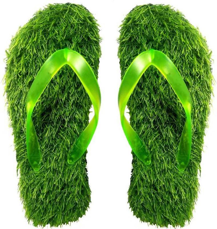 Slides  (Green 6)