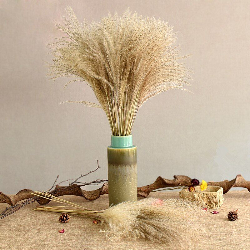 Dried Pampas Grass Natural Phragmites Reed Flowers Bunch of Flowers Dries Flowers Decoration for Home Wedding Party Fall Decor