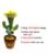 Spanish Russian Dancing Cactus 120 Song Speaker ng USB Chng Voice Repeat Plush Cactu Dancer Toy Talk Stuffed Toys