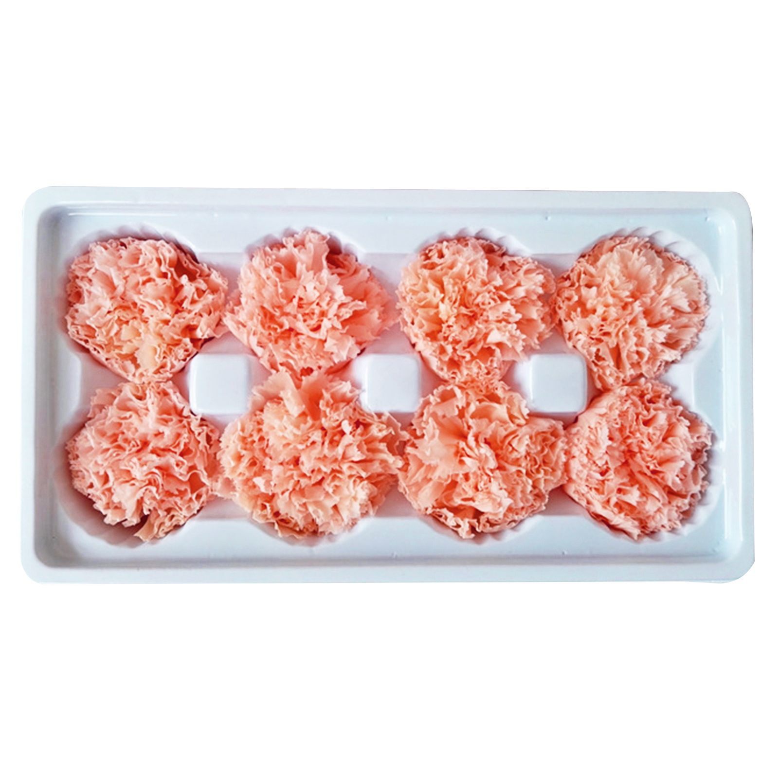 Gift Box Flower Preserved Flower Head