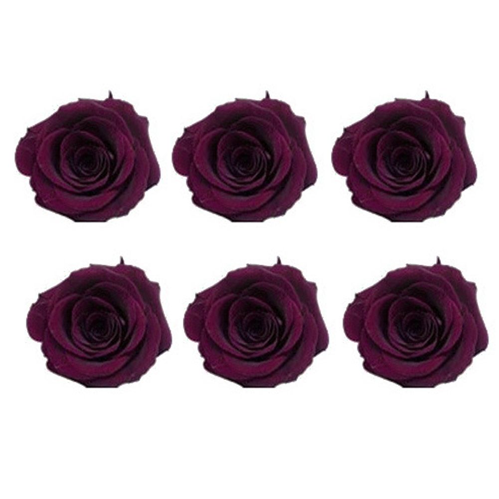 6Pcs/Box 5-6cm Preserved Flower Immortal Rose DIY Valentine Wedding Holiday Gift
