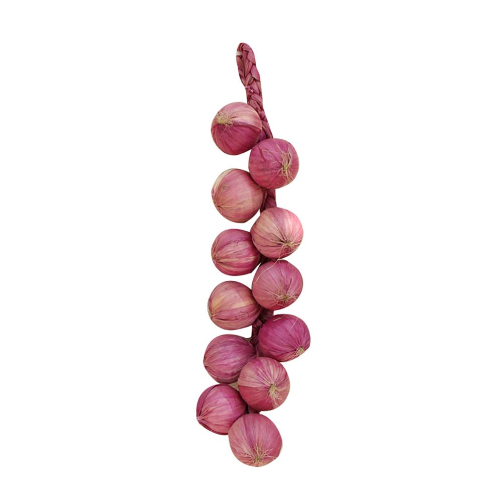 Artificial Fruit Foam Vegetable Corn Pepper Garlic Hanging Photo Prop Home Decor