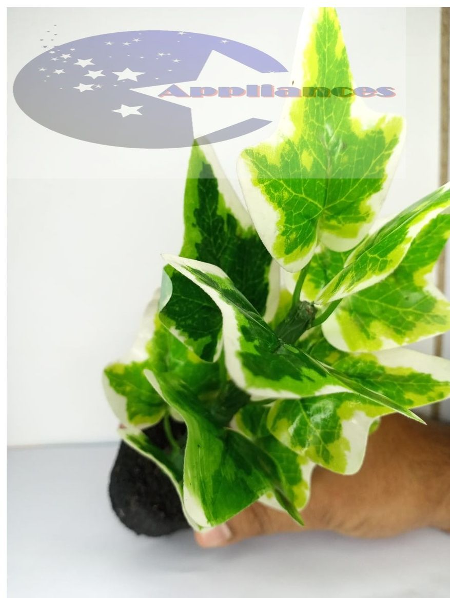 Best Material Artificial Landscope Plants