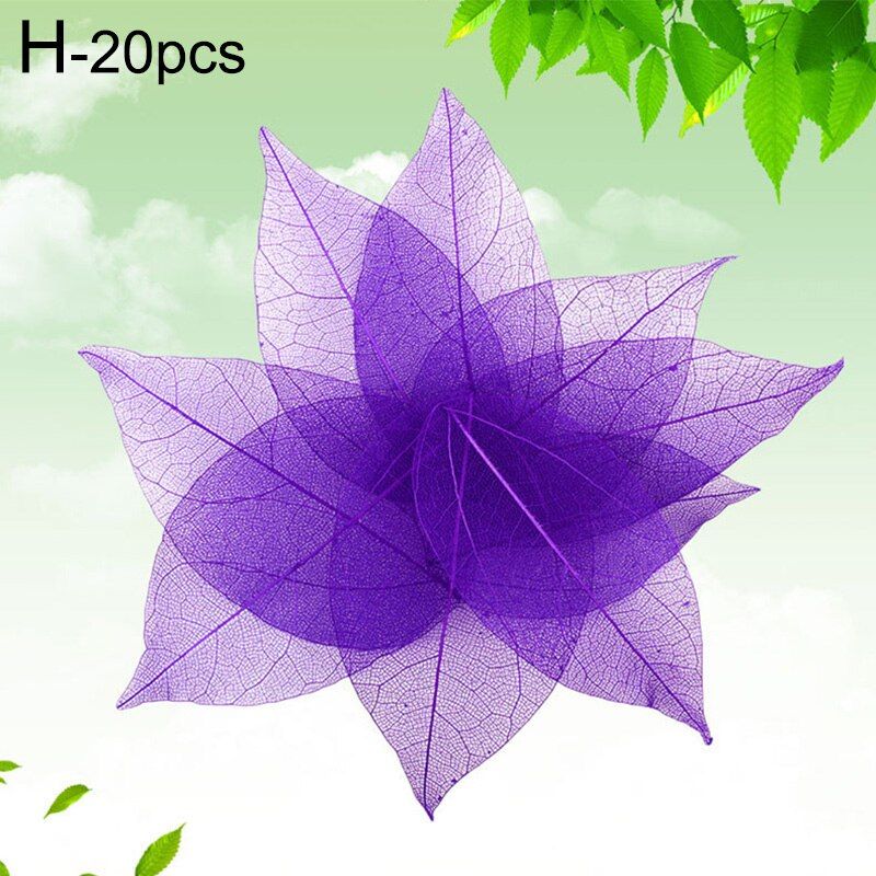 20pcs/Set Natural skeleton Leaf Vein Dried Nail Art Flowers Material for DIY Bookmarks Party Home Decor DIY Handmade Materials