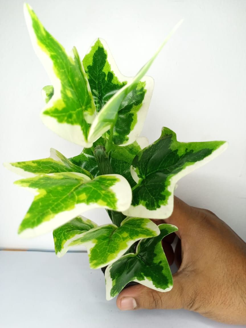 Indor Ornamental Plants make Artificial cactus plants for Office  - 1pcs