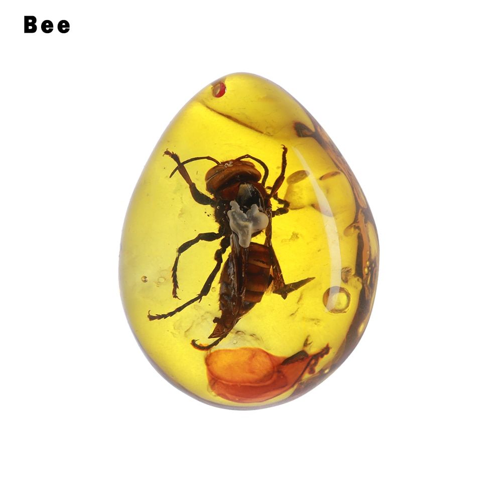 1 PC Fashion Originality Scorpions butterfly Bee Crab Decorations Natural Insects Amber Stone Ornament DIY Crafts Pendant Gift
