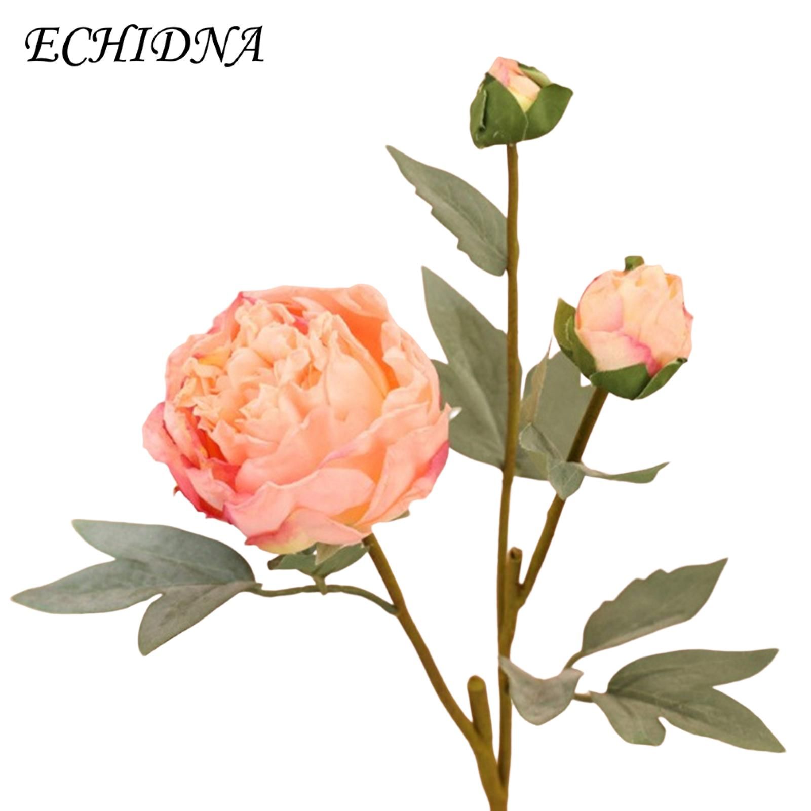 ECHIDNA Artificial Peony Long-lasting Floral Arrangement Faux Silk Flower