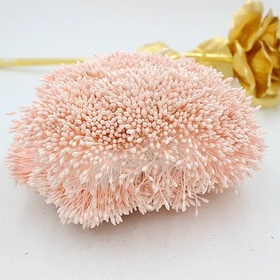 1mm stamens 180pcs/ Random Mixed 2 colors Double Heads Artificial Mini Pearl Flower Stamen Pistil For Wedding Decoration DIY